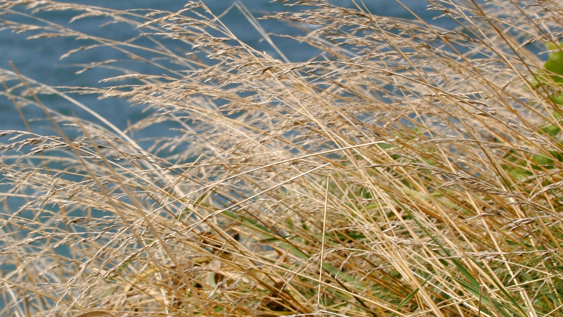 Celebrate World Environment Day |  Easy Ways to Advocate and Make Change