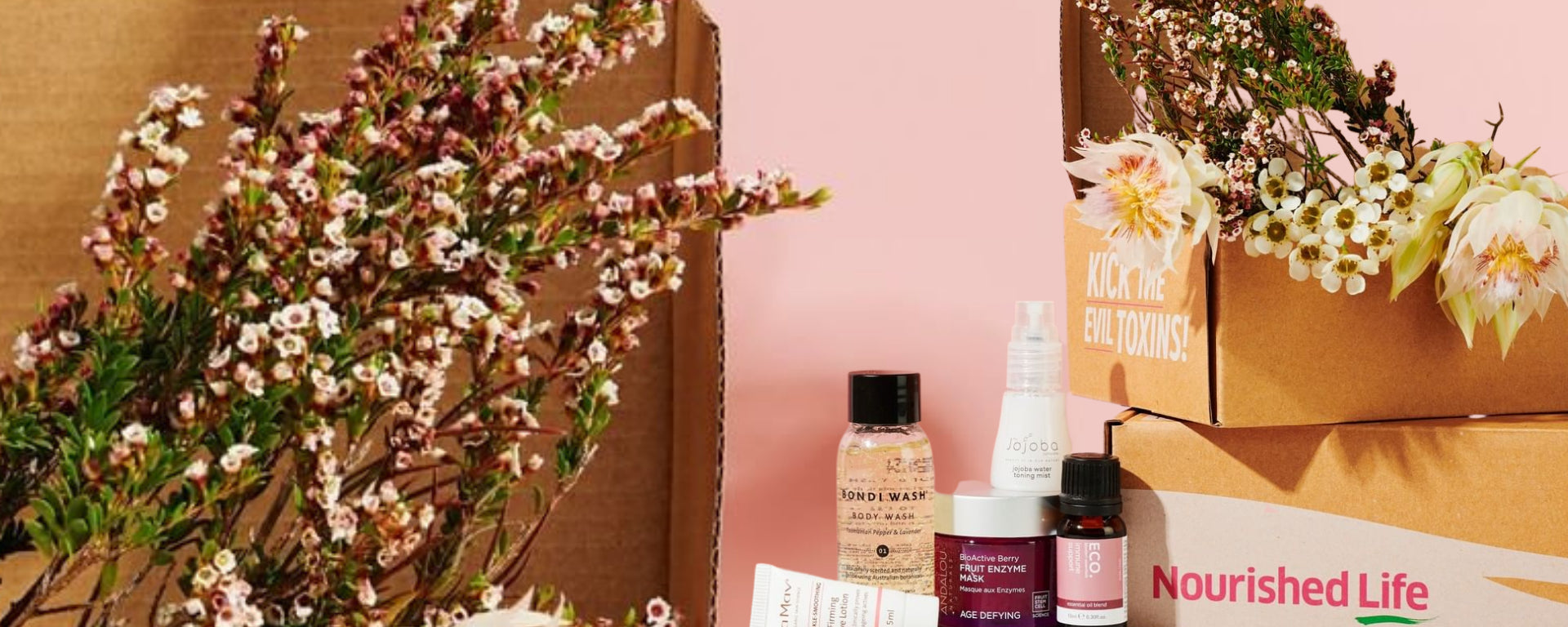An interview with Irene Falcone, Nourished Life Founder
