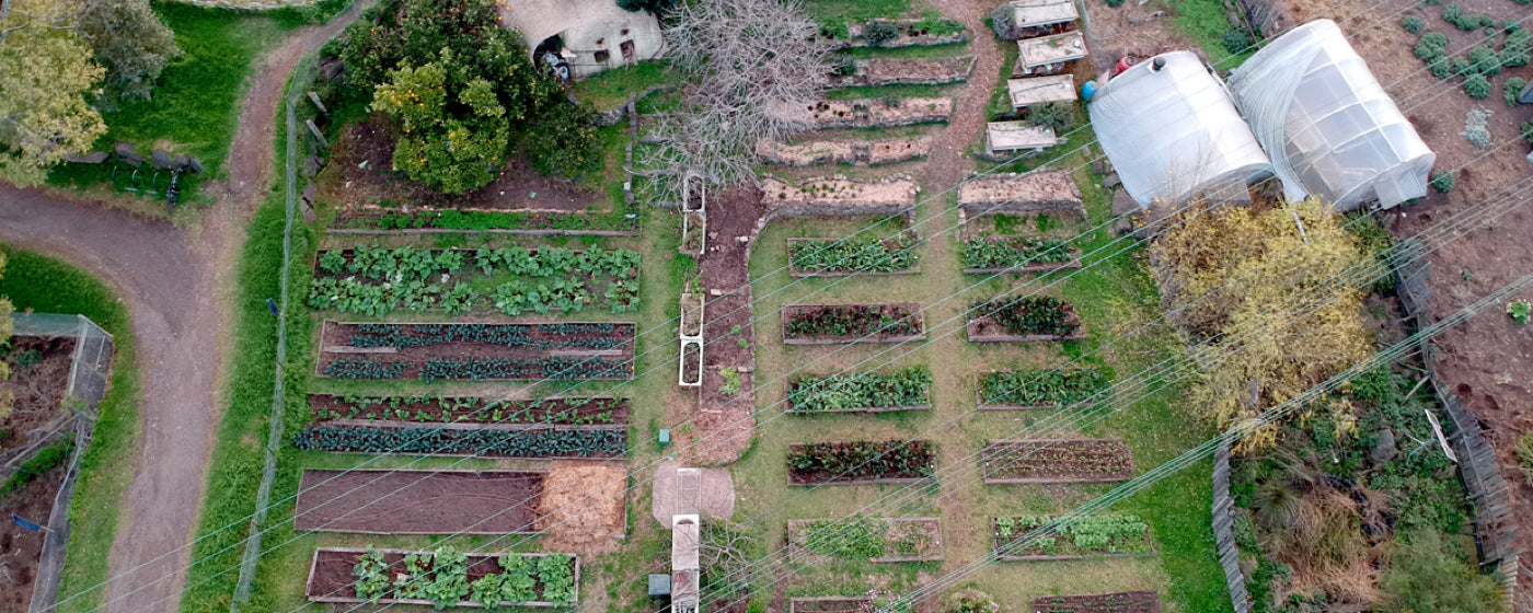 Shop Local: Introducing Ceres Organics