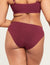 B01000_PLUM_Classic Bikini_4.jpg